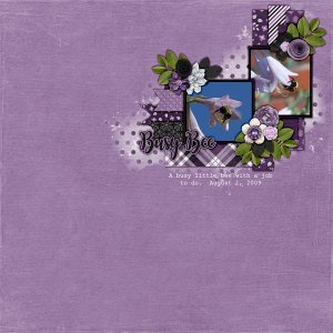 2009_aug_1_bees_cap_pc_purple