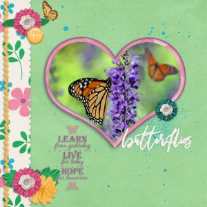 Butterflies10