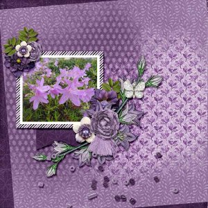 Paint Chips Purple