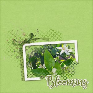Recipe-may2020