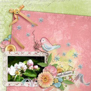 Apple-blossom