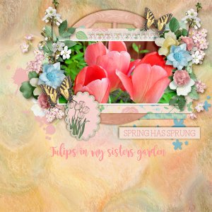 Spring-has-sprung12