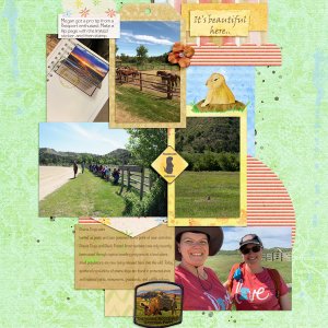 Theodore Roosevelt NP 2019