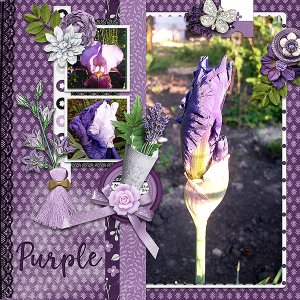Purple
