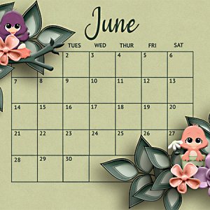 Songbird Desktop June