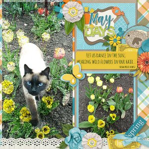 May Days