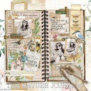 the nature journal
