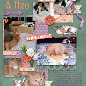 May 2020 Buffet Challenge - Twinkie and Itzo