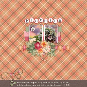 Garden Party 2