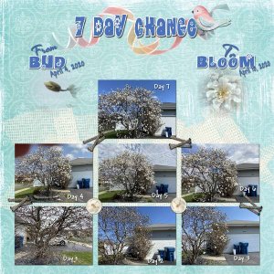 7 Day Change