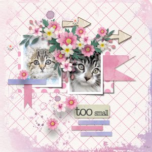 "Be Happy" de CarolW Designs