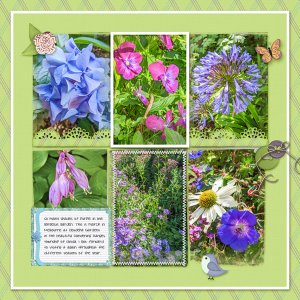 In Full Bloom - Purple
