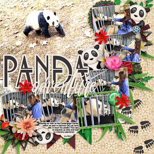 Panda Adventure