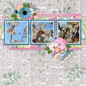 Blooming