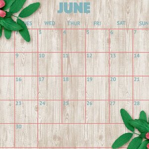 June Desktop