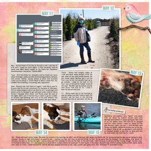 2020-05-10-weekly
