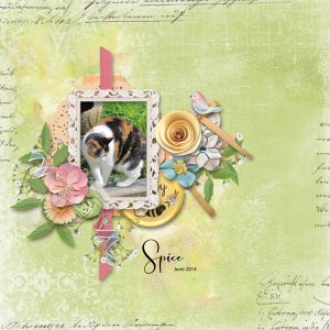 May 2020 Mini Kit Challenge with Alexis Design Studio