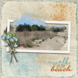 A Walk On The Beach