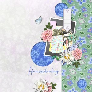 Homeschooling