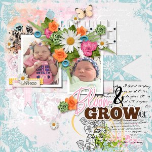 Bloom And Grow
