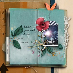 Dear Journal