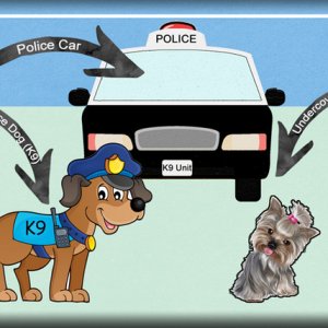 Police Units