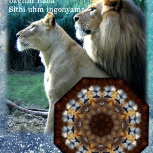 Circle of Life