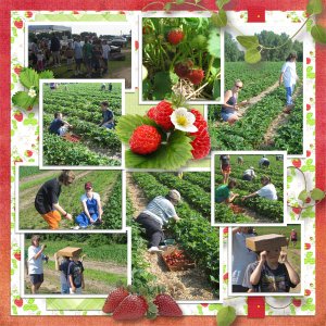 Strawberry_Picking_L