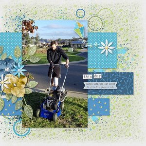 Mowing the Lawn