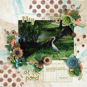 May at the Pond