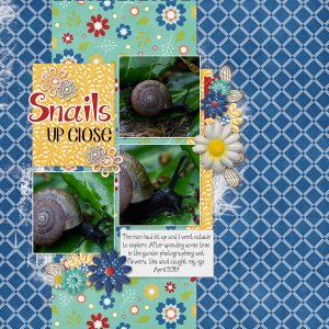 Snails