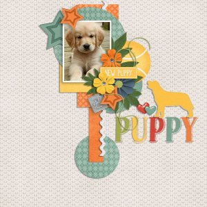 May 2020 Template Challenge #2