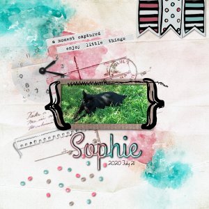 Sophie