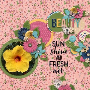 springbeauty
