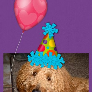Font Challenge - Grand Hotel -Randy Birthday card