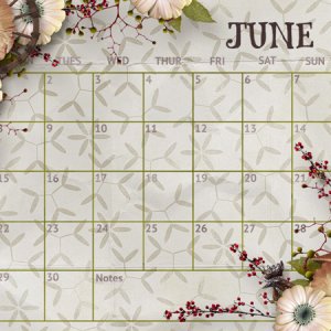 June 2020 Calendar