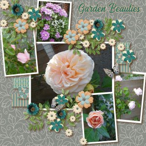 Garden Beauties