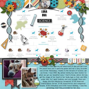 Luna DNA