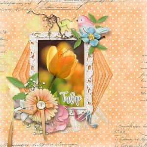 Tulip