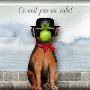 The Magritte Mutt