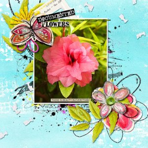 DOCUMENTED FLOWERS