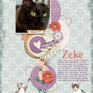 May 2020 Template 2 Challenge - Zeke