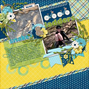 Snakes and Ladders