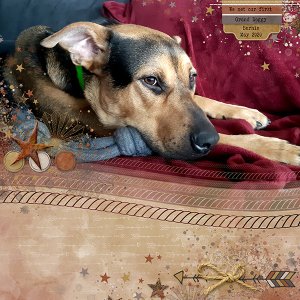 First Grand Doggy