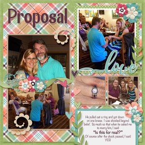 Proposal