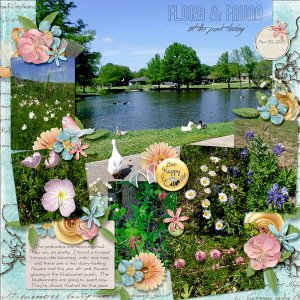 Flora + Fauna