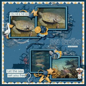 sea_turtles_small
