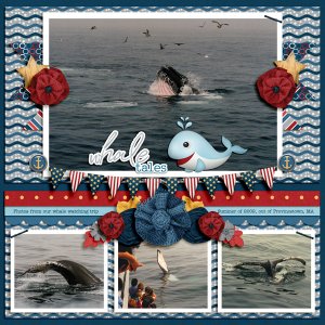 Whale Tales