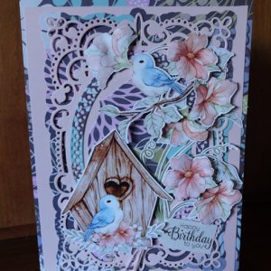 Cards