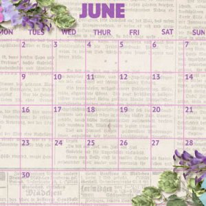 June desktop